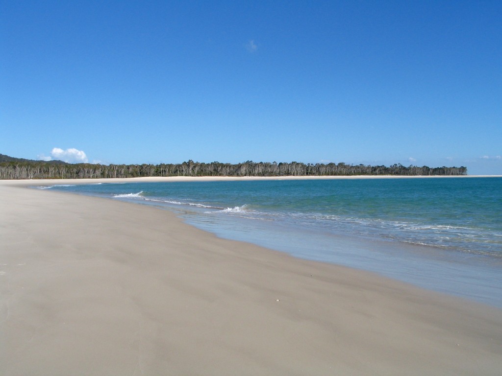 Moreton Island - looking towards North Point from Dog Creek